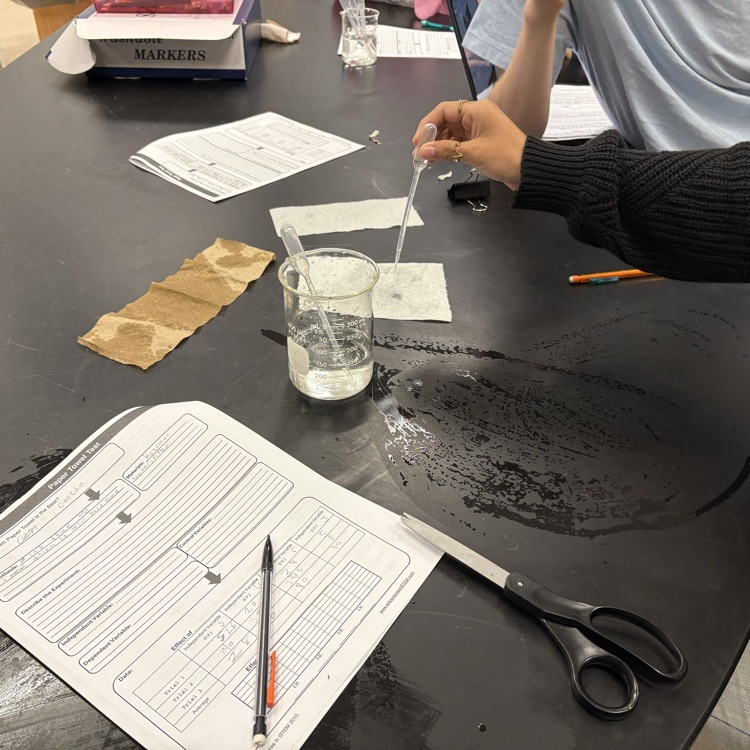 There's a method to this madness 🧪🔬! Students in Ms. Morrison's Biology class applied what they've been learning in a recent lab! We love our JM teachers who work hard to make sure what the kids learn also has real-world applications! 🧡🐝