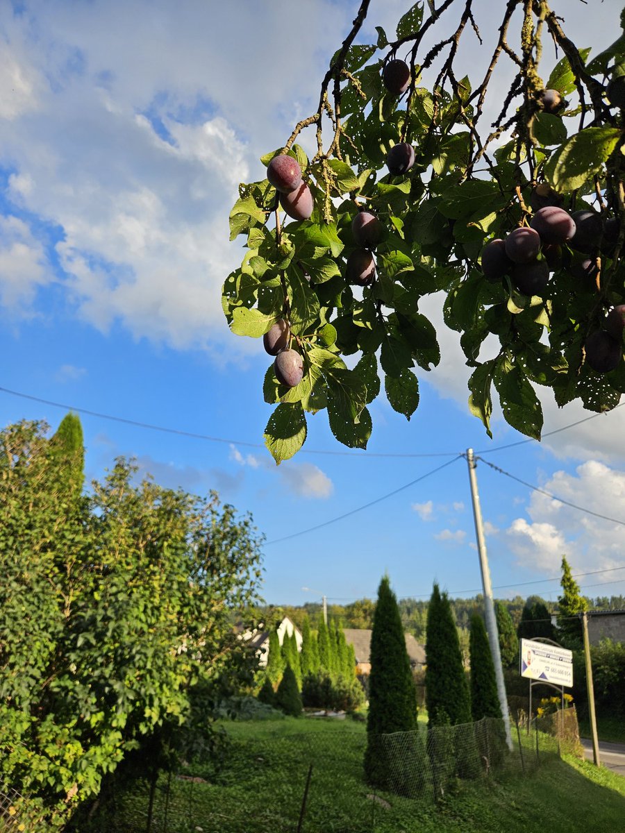 smutne historie spisane na kacu i tanim papierze tweet media