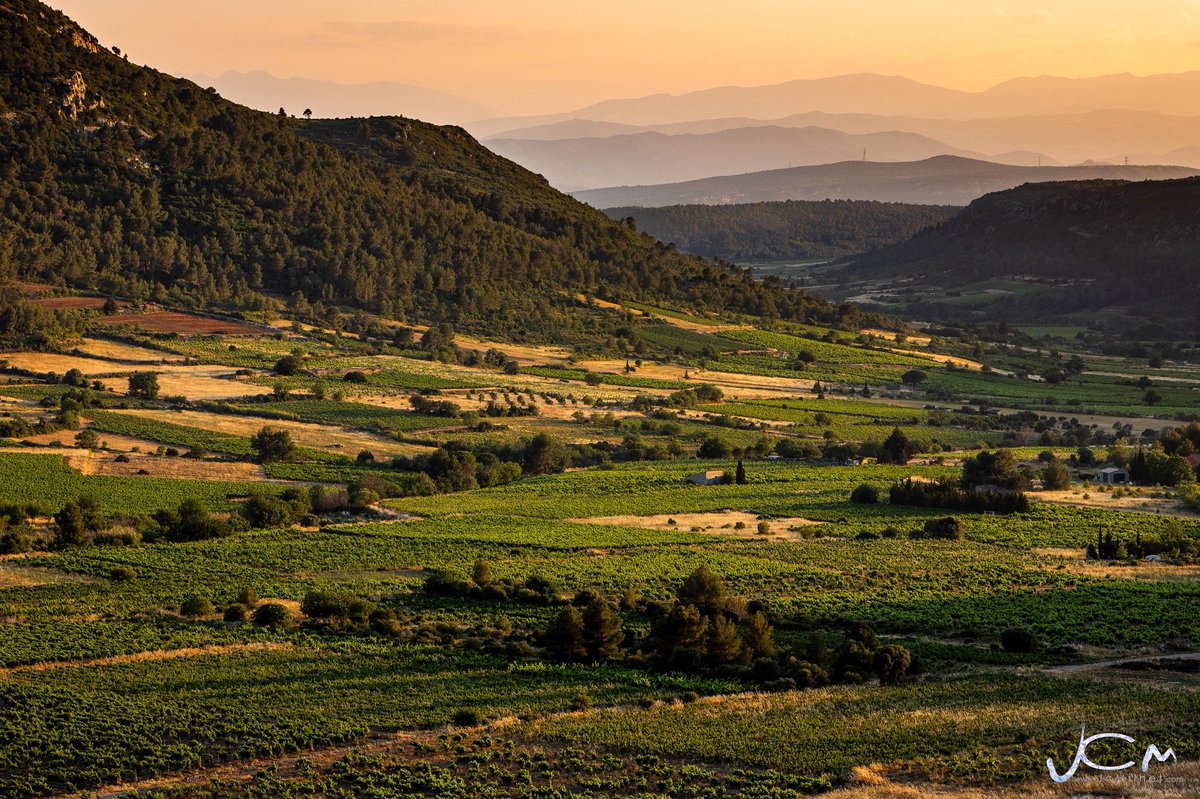 Photo du dimanche.

Vignoble de Vingrau, en fin de journée.
-
#Vignoble #Vendanges #Vingrau
📸 Jc Milhet / #HansLucas
