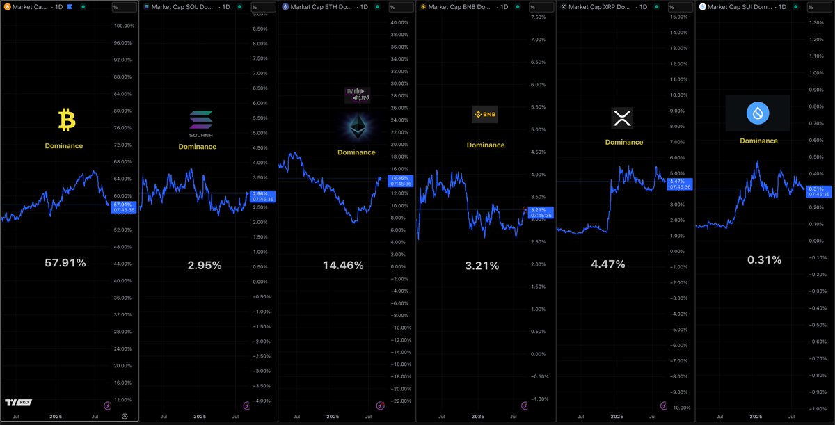8月31日時点のBTC、SOL、ETH、BNB、XRP、SUIのチャートを示すCrypto Dominance Dashboard
