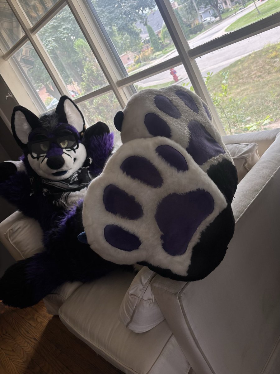 ElthoOwo's tweet image. Just in time before #Pawgust ends!