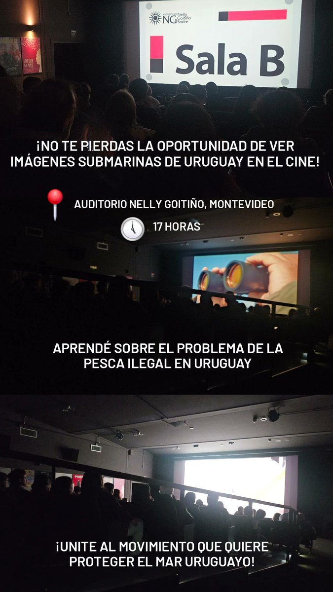 HOY ÚLTIMA FUNCIÓN DE AGUA INVADIDA EN CINES DE MONTEVIDEO. 17 HS EN EL SODRE (AUDITORIO NELLY GOITIÑO)🐡🐠🐟🦭🐬🐳