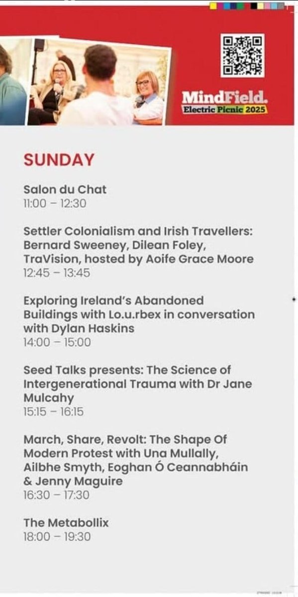 Some people paid good money to go to this at Electric Picnic today

I'd pay a fine to stop a court sentencing me to an hour of it.
