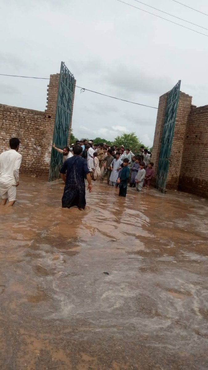بارش کے بعد ریسکیو 1122 پشاور کا بڑا آپریشن:  
256 افراد کو محفوظ مقامات پر منتقل کیا گیا، جدید مشینری سے ڈی واٹرنگ،  
شاہین کالونی، صفیہ ٹاؤن، ورسک روڈ و دیگر علاقوں میں کارروائی جاری۔

#AliAminGandapur #PTI #Rescue112