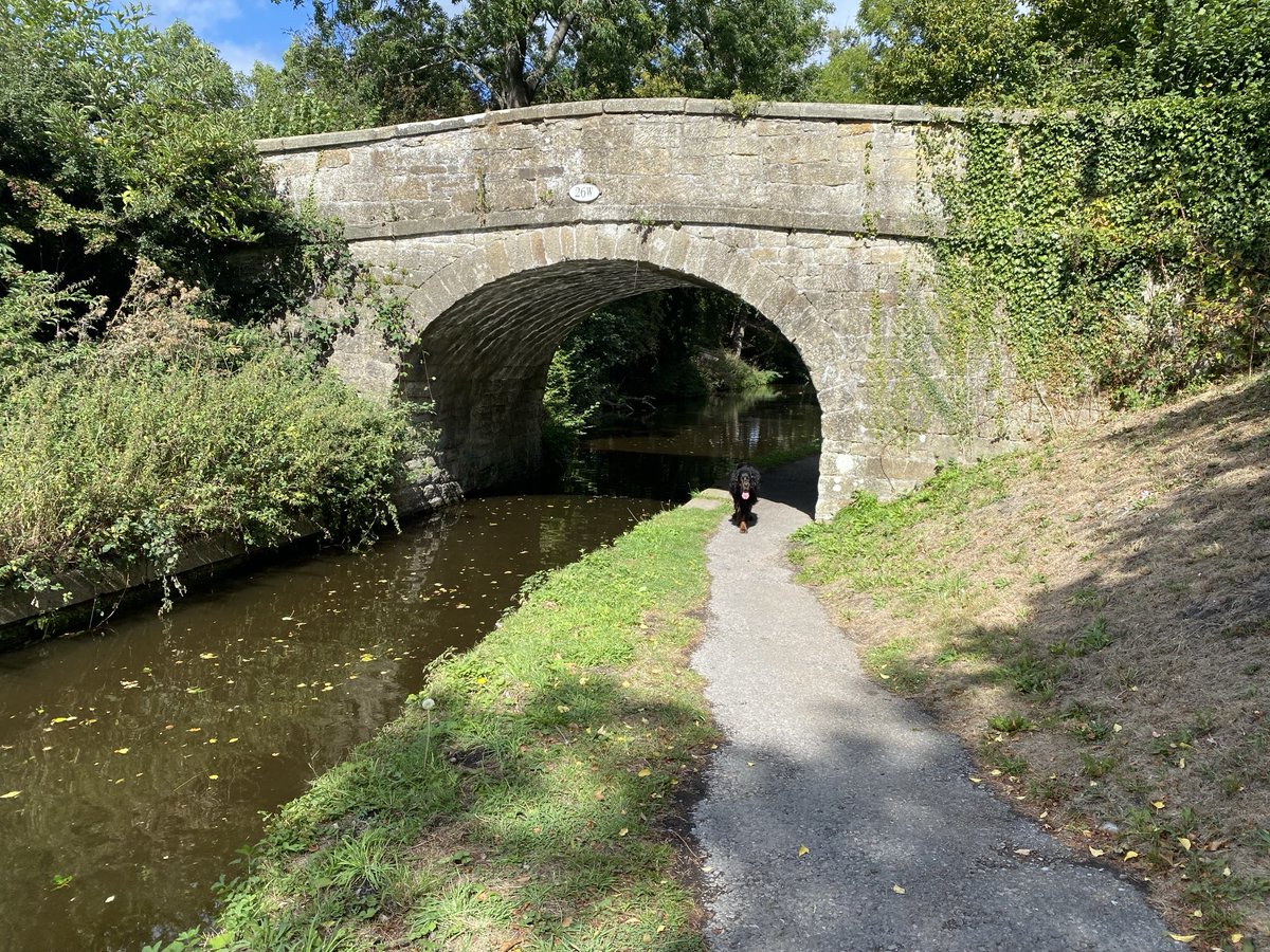Airstreamboy's tweet photo. Walk from Chirk to Pontcysyllte and lunch at the Telford Inn https://t.co/CiICyNhLn0