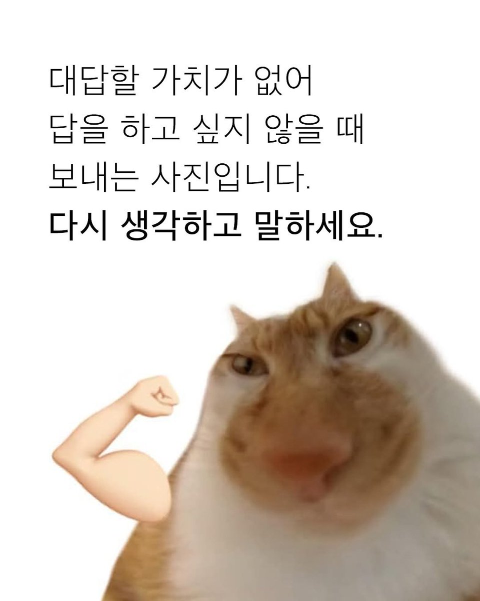 에이얼 tweet media