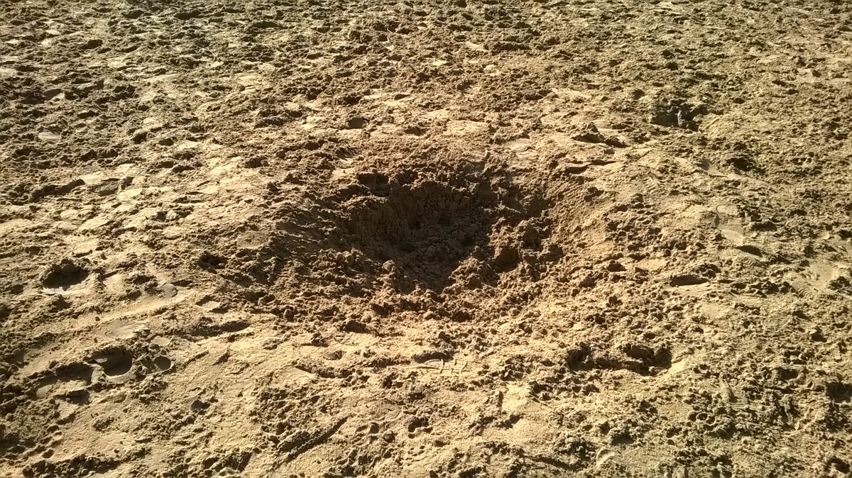 Could this be the remains of the pit on Horsell Common, Woking, Surrey where the first Martian cylinder landed in Chapter 3 The War Of The Worlds. 
"I clambered into the pit and fancied I heard a faint movement under my feet...." #HGWells #aliens