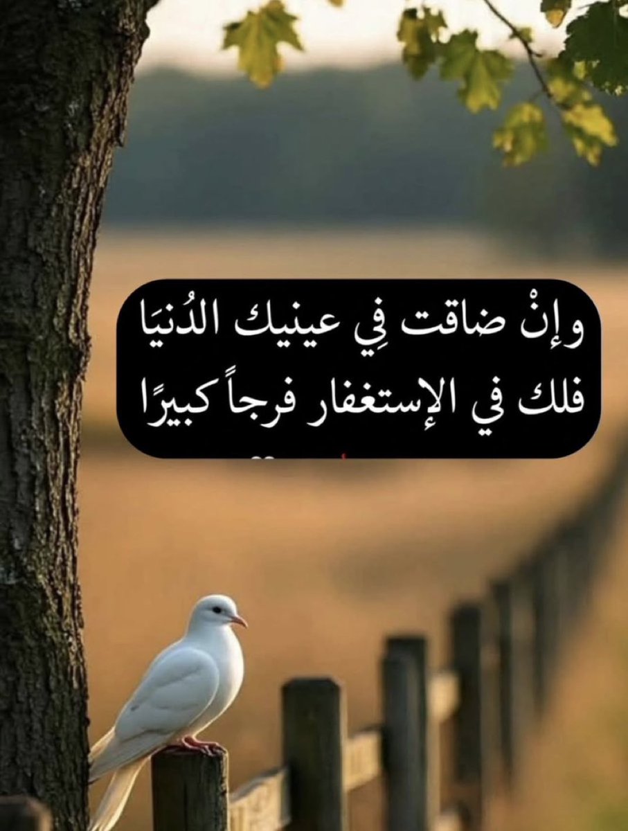 رياض العسافي البو عليان (@rsalassafi) on Twitter photo 