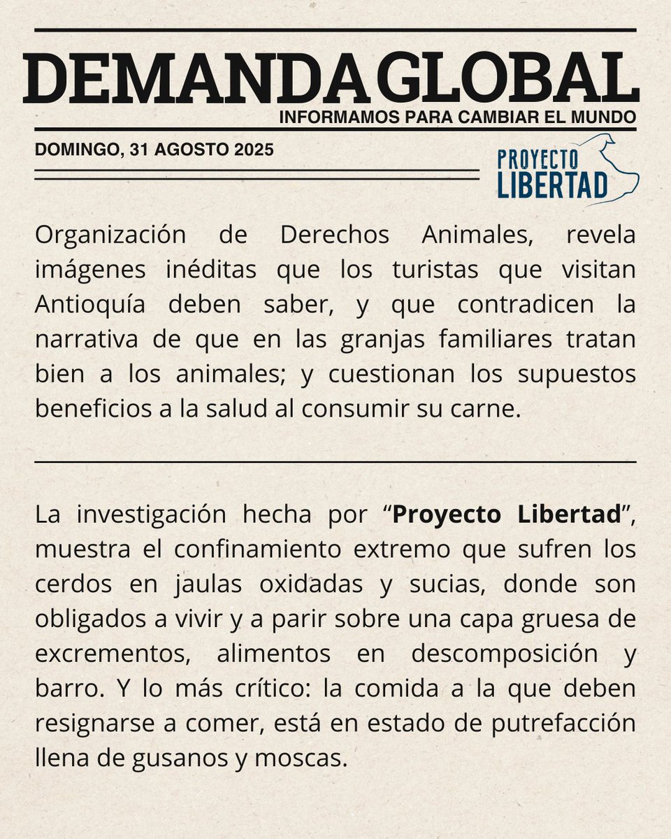 ProyectoLibertad tweet media