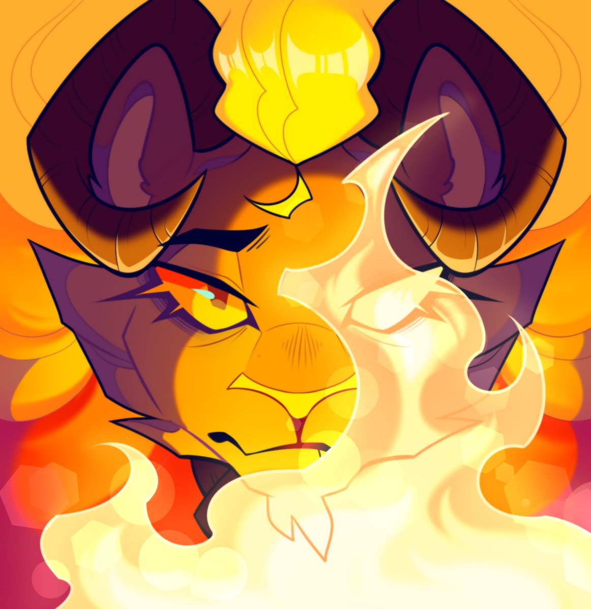 The eye of the lion