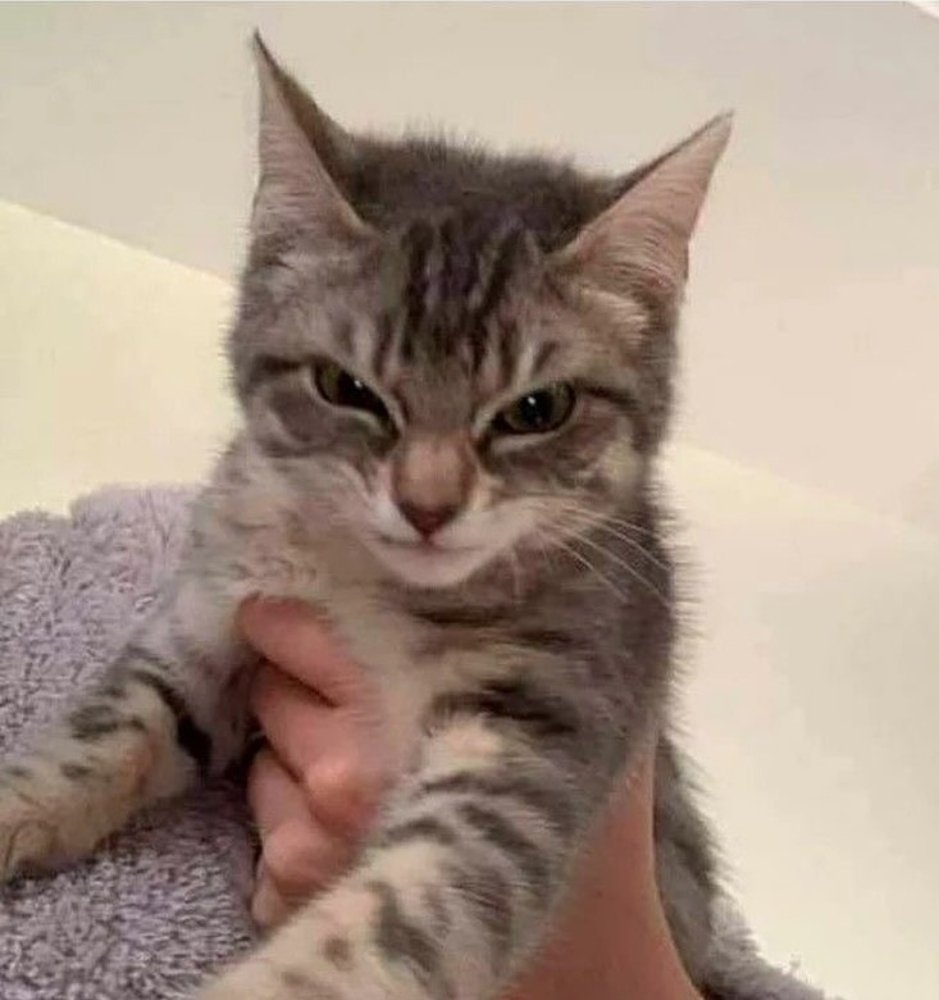 QUANDO OSANO DIRTI "BUONGIORNO" DOPO CHE HAI DORMITO APPENA 13 ORE