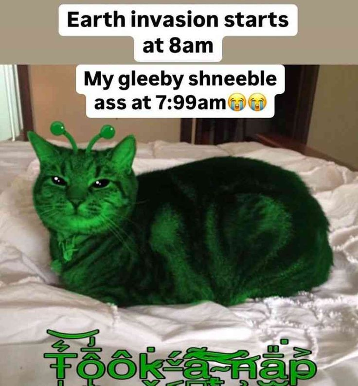 Flely (crazy hure)🚩 (@fl3ly) on Twitter photo 