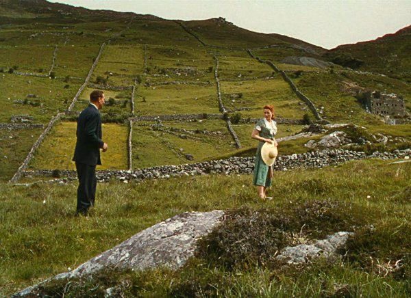 El Hombre Tranquilo de John Ford además de una gran película es una visión sobre la Historia de Irlanda reflejada en varias escenas y diálogos.

El minifundismo (que se ve en algunas escenas) y el monocultivo de la patata tuvo consecuencias devastadoras cuando una plaga arruinó