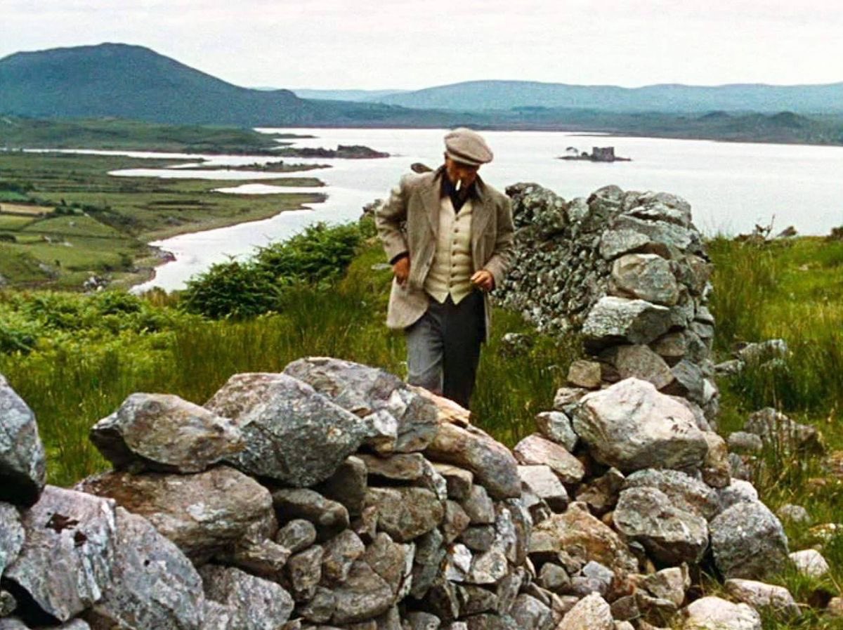 𝙵𝙾𝚁𝙳𝙸𝙰𝙽𝙾𝚂 tweet media