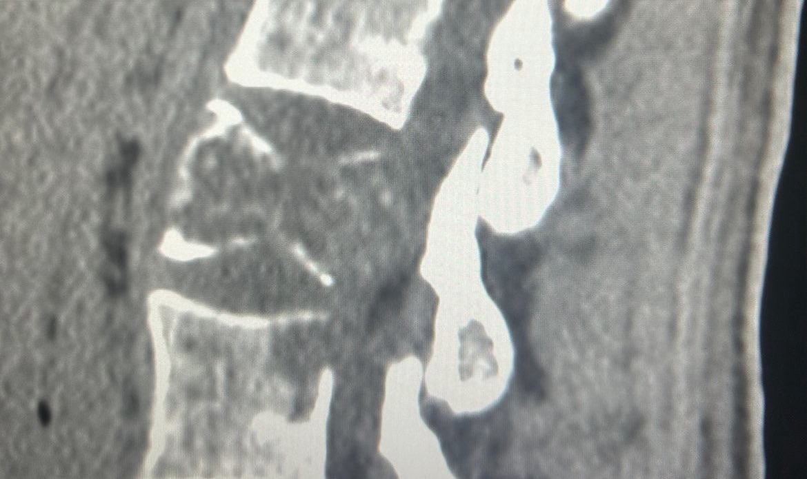 Interventional Oncology Institute tweet media