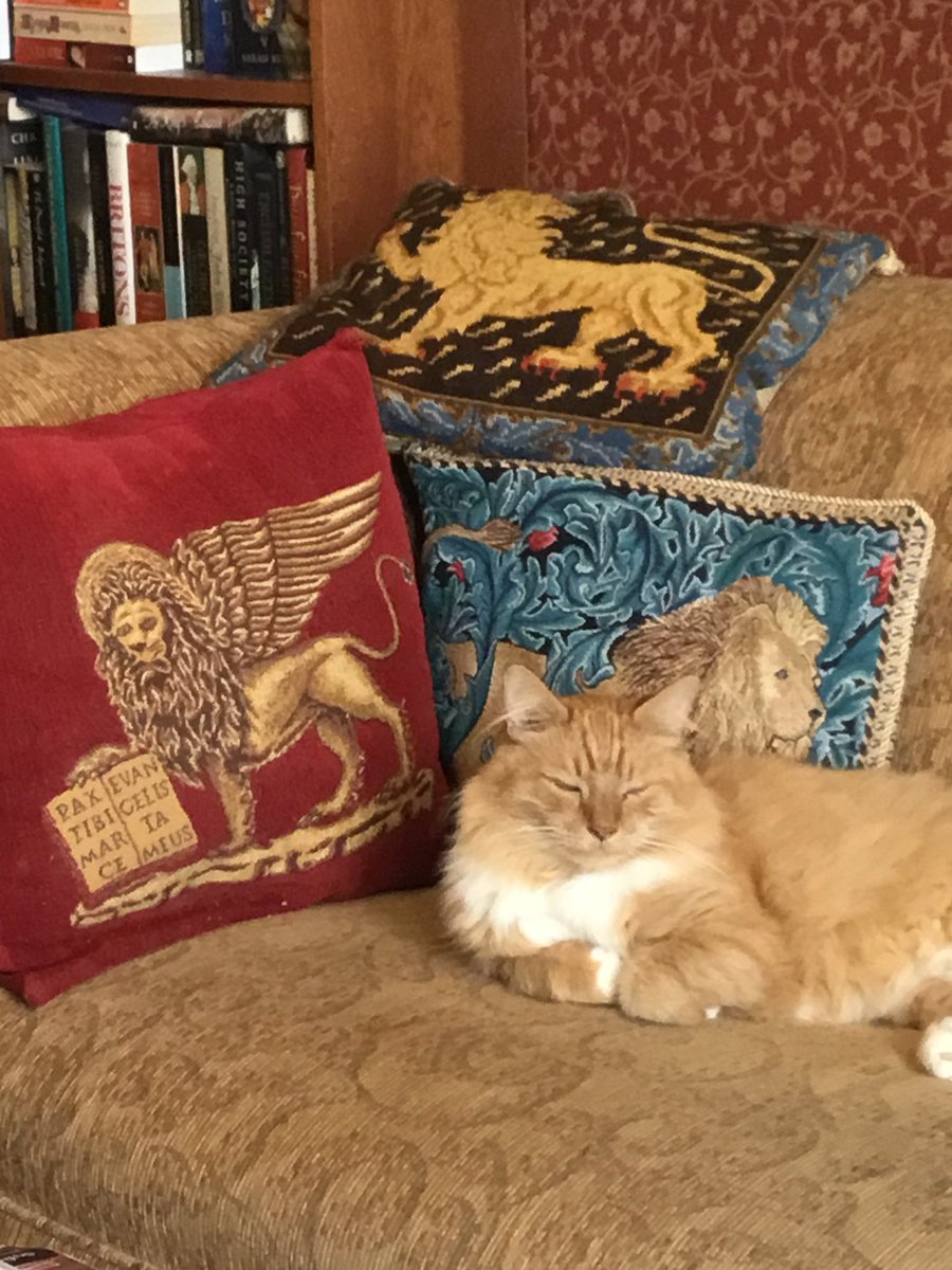 ElizabethHume's tweet photo. My lion among many https://t.co/ICDDL1ZLnh