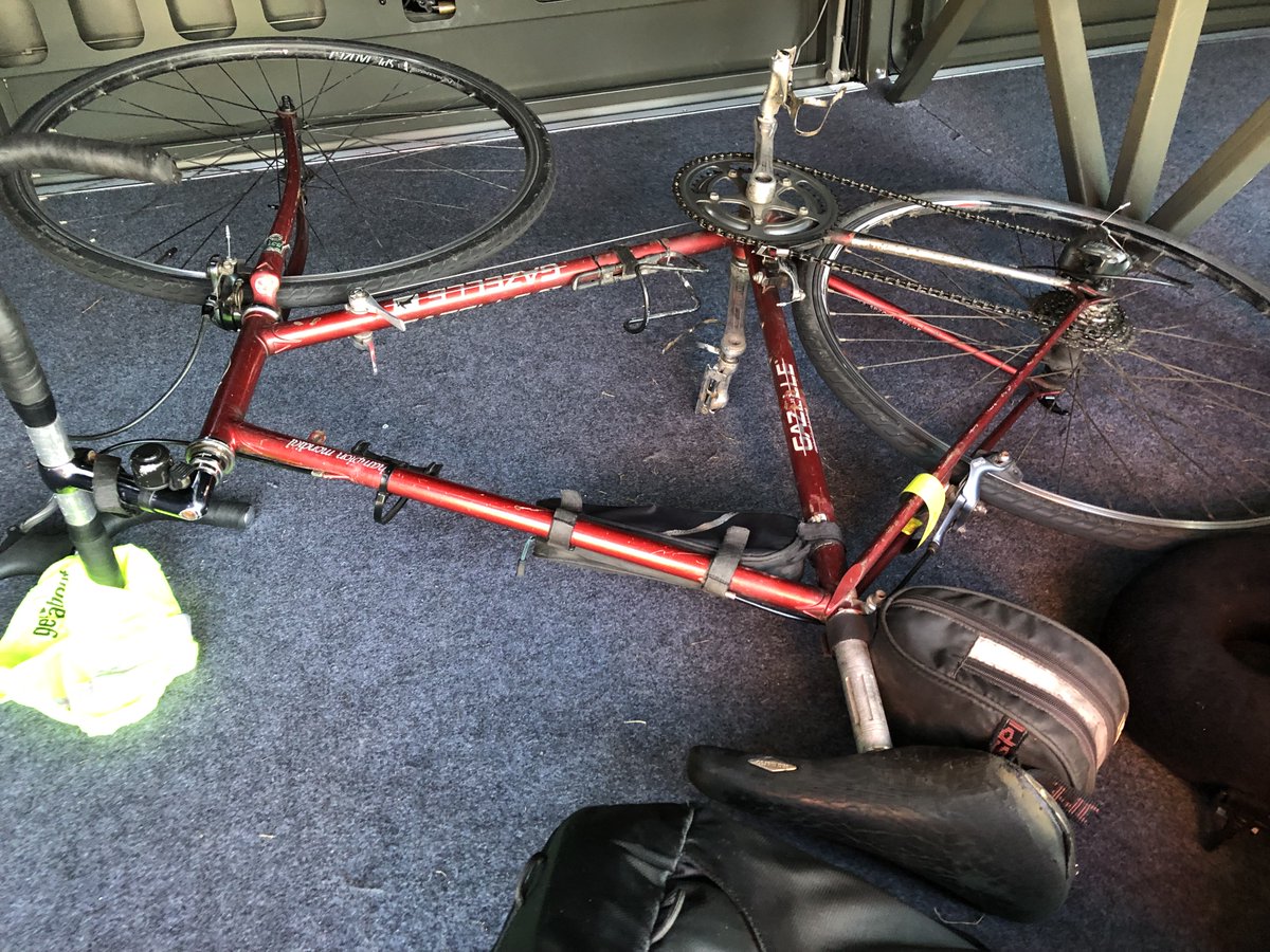 Daniel✌ɘrhɐmmɞ🌻 tweet media