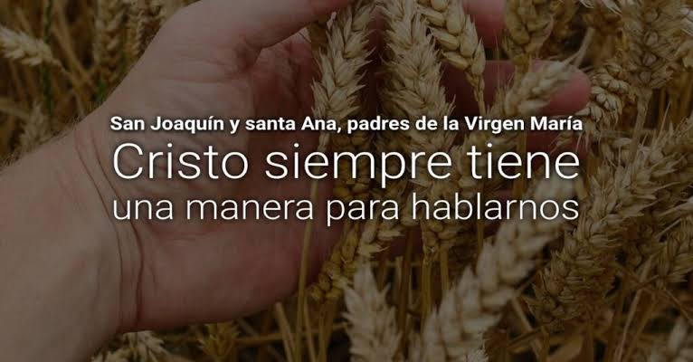 alfredo81072805's tweet image. Mantengámonos firmes en la esperanza que profesamos,pues quién nos ha hecho la promesa es digno de confianza.Procuremos animarnos unos a otros para poner en práctica el amor y las buenas obras

Hebreos 10:23-24
#PrayForPalestine
#GazaGenocide‌ 
#GazaFamine 
#GazaNeedsBread