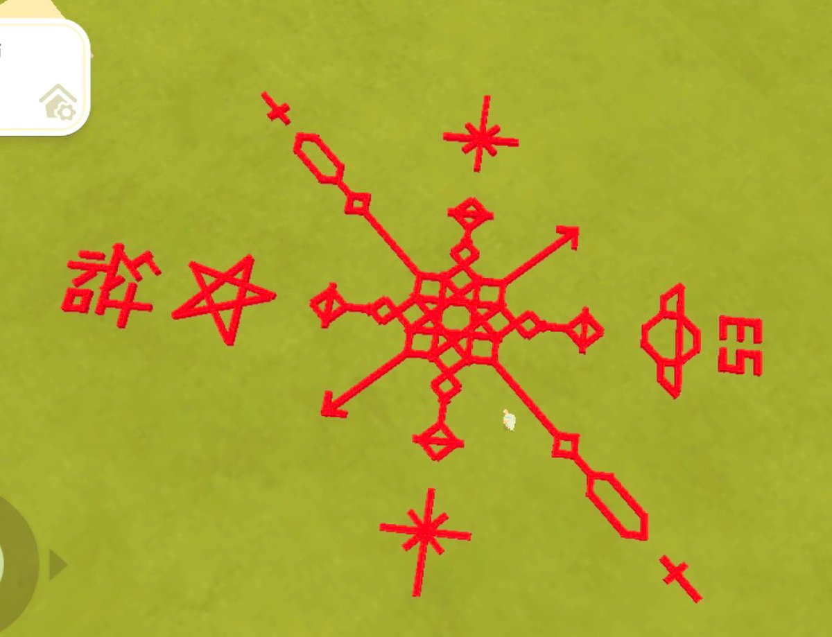 ちゃんと見てなかったんだけど、冷蔵庫のなかたくさん入ってた(´•ω•｀)
そして、地上絵。