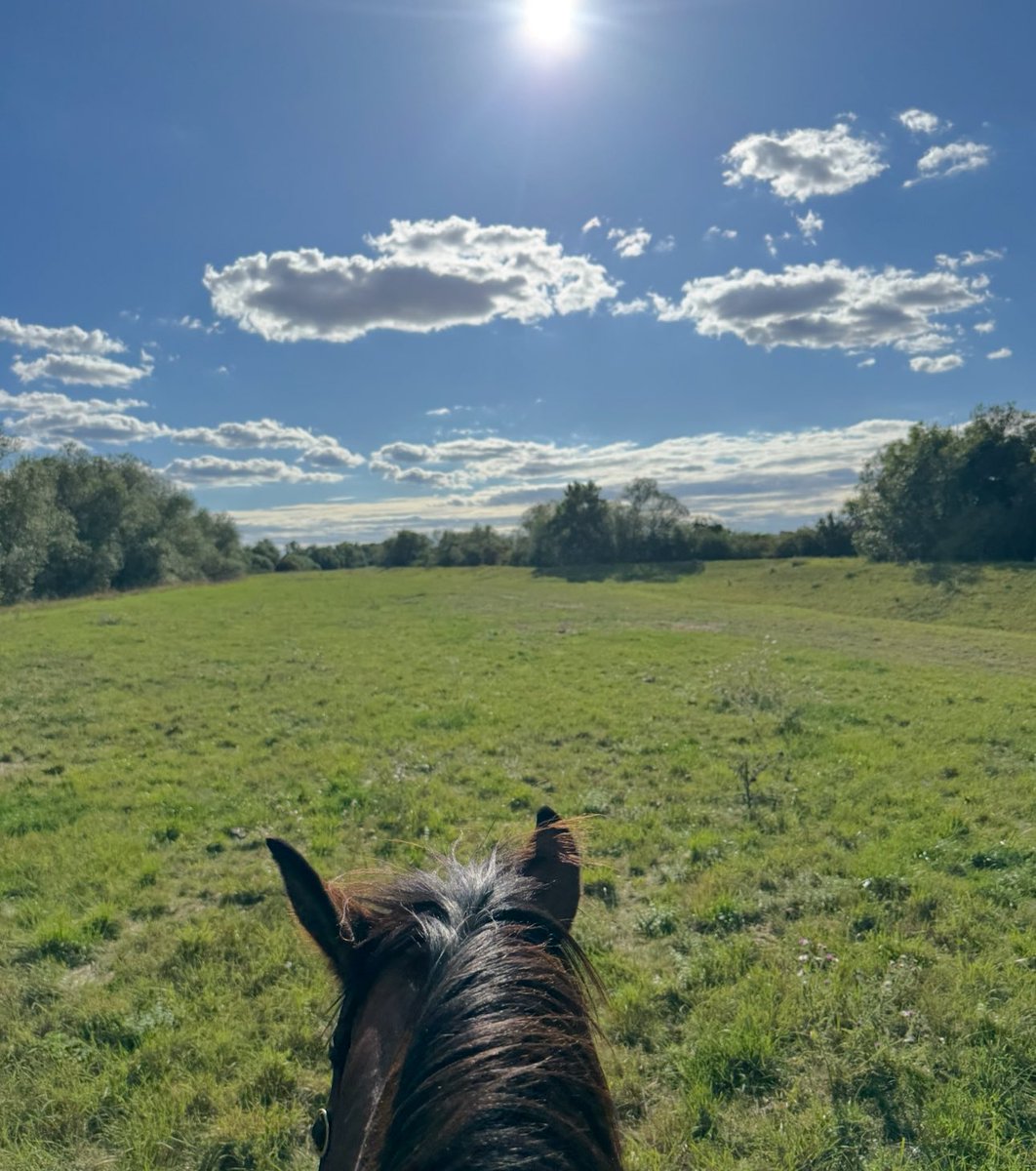 Today’s Ridingsunset 🐎🤠👍🌞 open.spotify.com/track/01TywNtK…