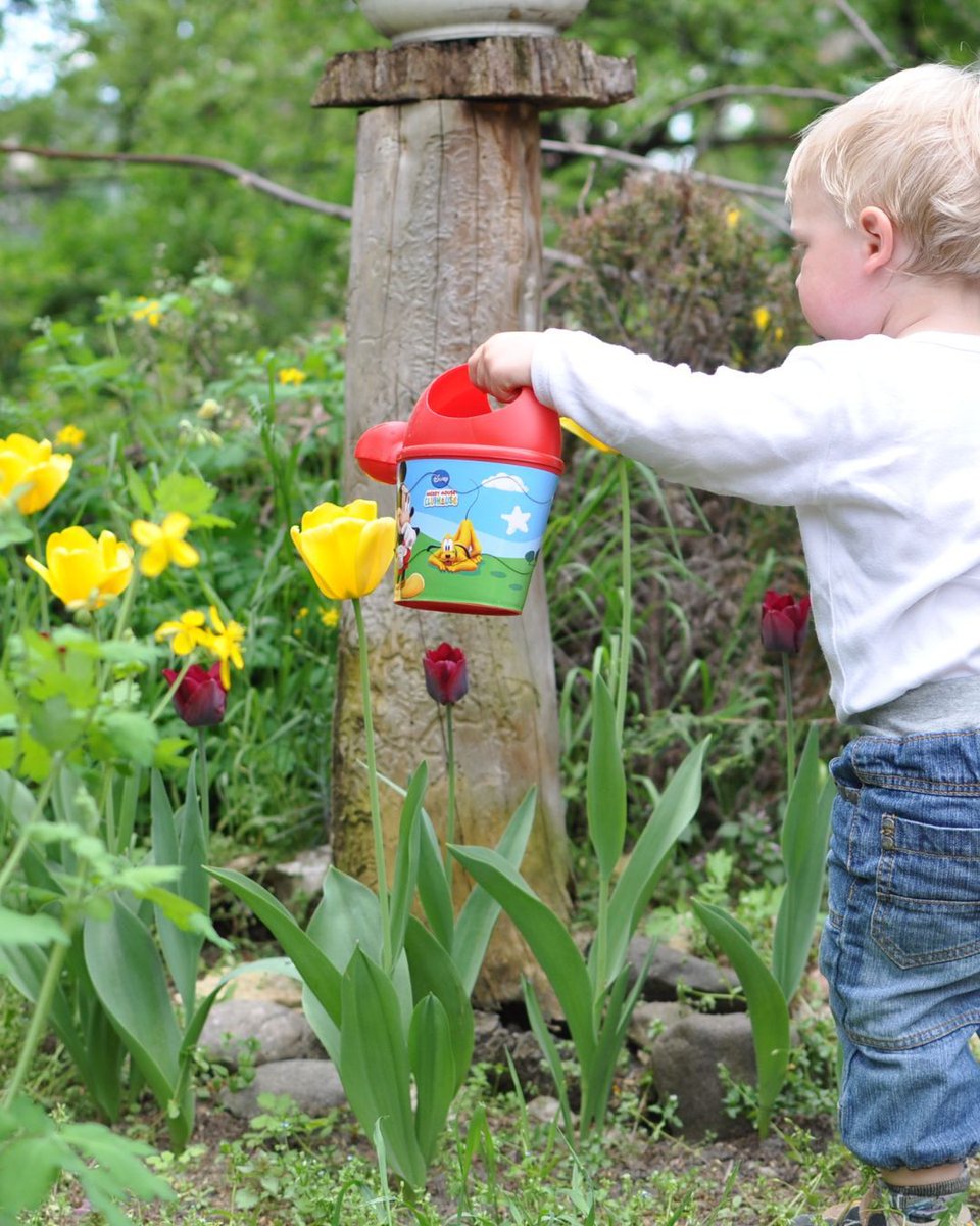 jettandcompany's tweet image. Design with the seasons. 🍂🍃
Let your home evolve like your garden—fresh herbs in spring, citrus in summer, dried bundles in fall.
#SeasonalDecor #SlowDesign