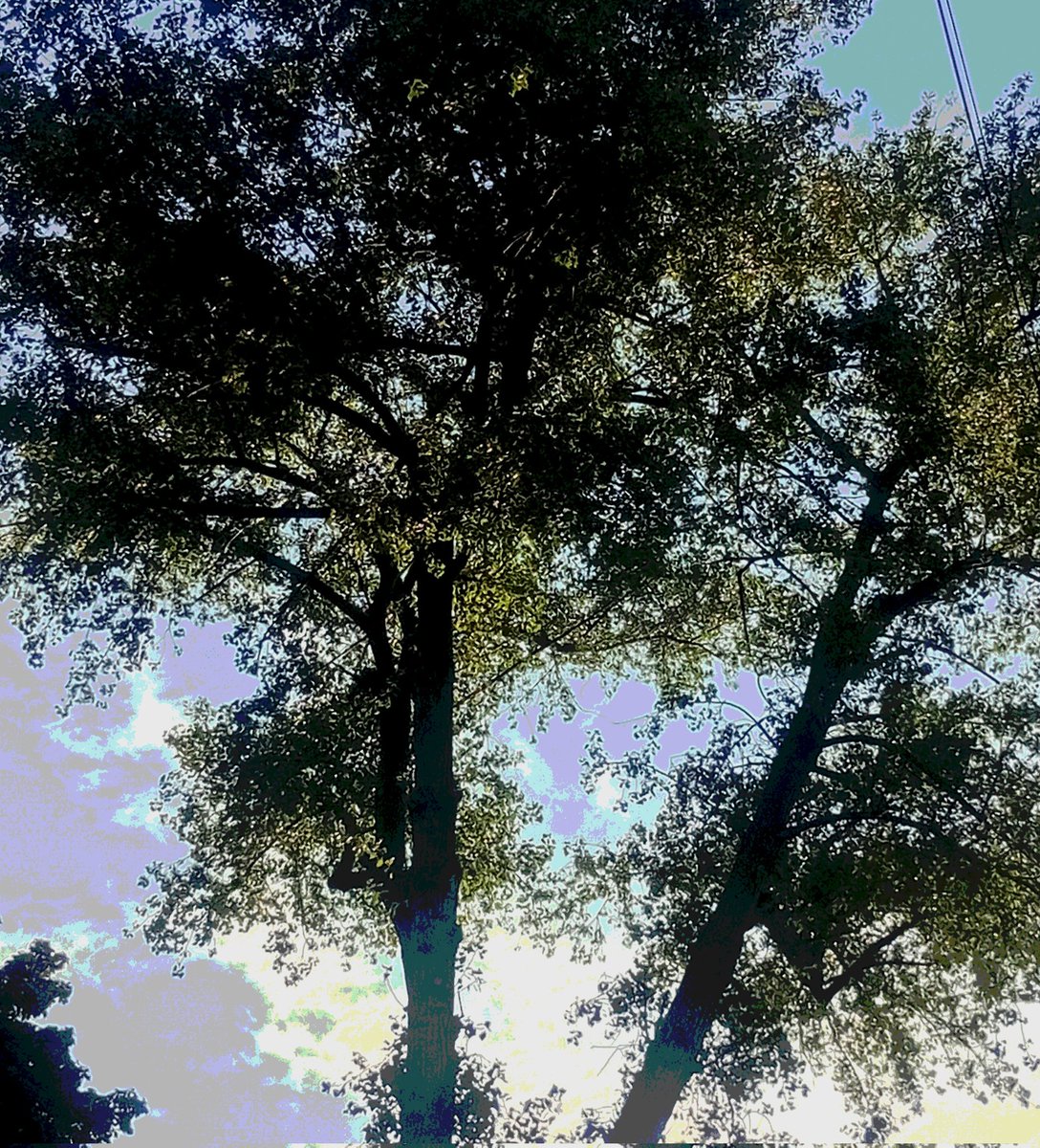 Катерина Галич tweet media