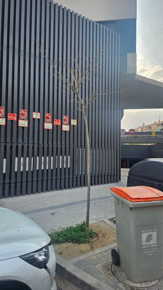 ilonascherbak's tweet photo. @Lineamadrid Hola, en la zona Paseo de la Dirección 160 hay varios árboles secos (pese a tener el riego instalado). Solicitamos actuación por favor. https://t.co/fPckxOsR1j