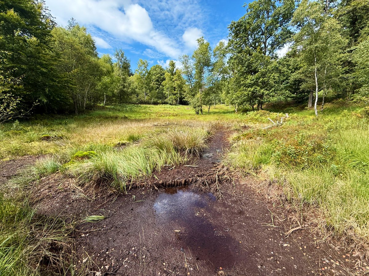 Uiii das war eine tolle Wanderung heute.