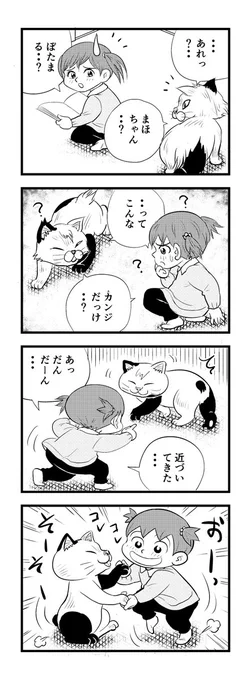 2時すぎー
苦しまぎれ4コマー
「まほとぼたまる」は
久しぶりなので
どんな顔だったか忘れてるていで
ネタにしてみたんですが…😅
すいませんでした
とっとと寝ますー
おやすみなさいー🥱😴 