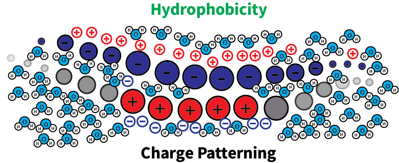 Check out the awesome new paper from our group, just published in Biomacromolecules (doi.org/10.1021/acs.bi…)! We looked at sequence effects in peptide complex coacervates. In addition to phase behavior studies, we also identified some really cool rheological phenomena!
