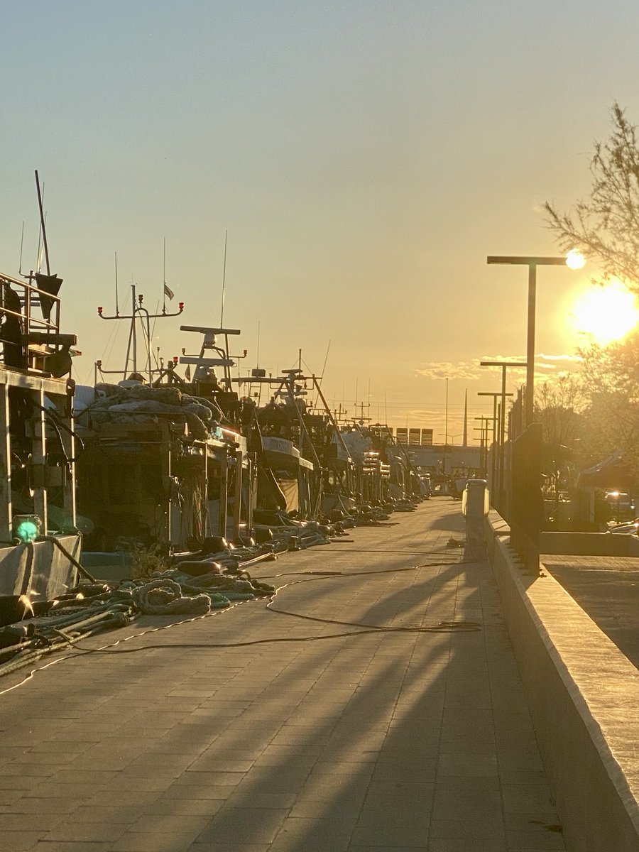 Pescherecci a riposo
#Bellaria Igea Marina