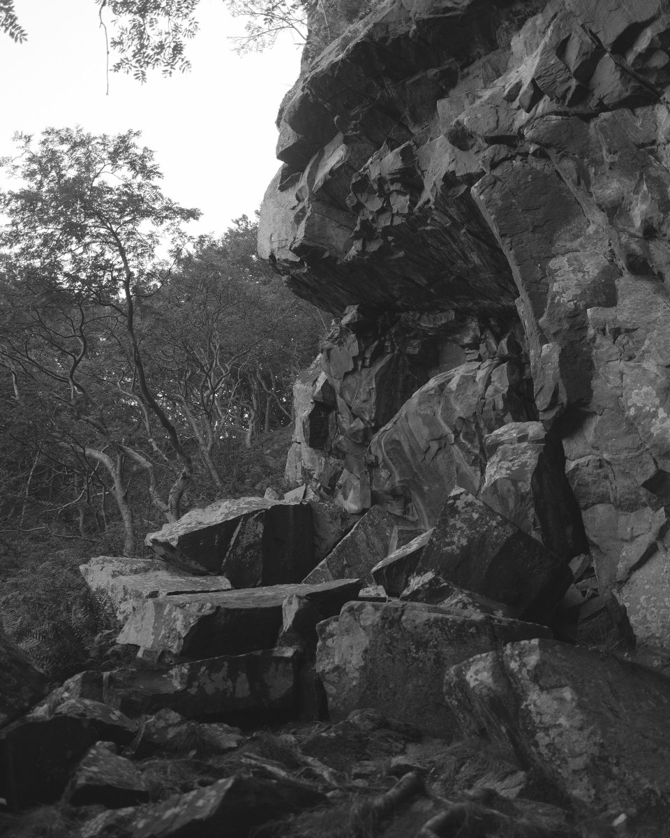 Alexander (@juststrangefeel) on Twitter photo 