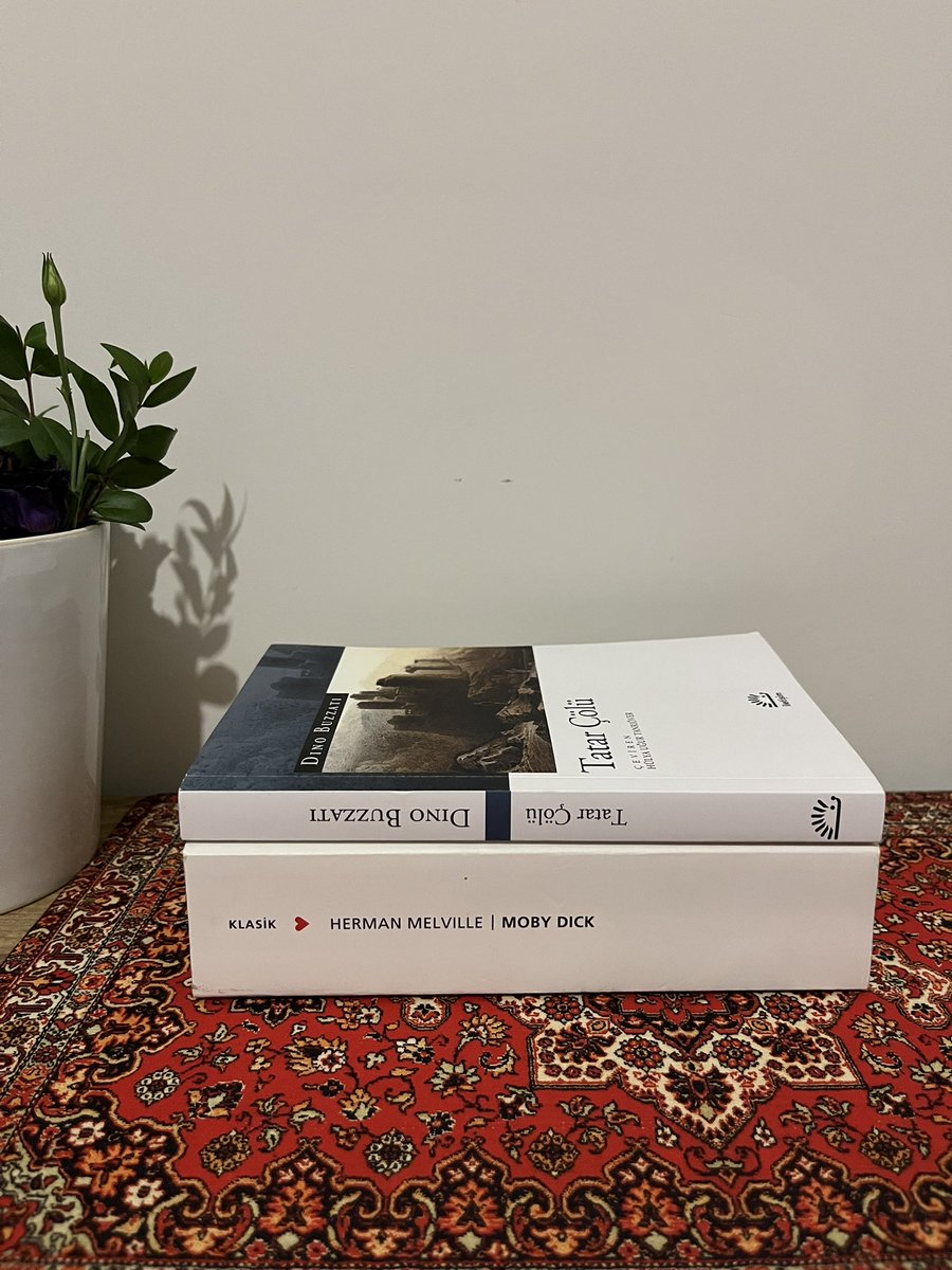 yasukesaa's tweet image. Ağustos okumalarım 🌻 verimsiz geçen bir ayın ardından yaza veda ediyorum . İkisi de güzeldi ✨