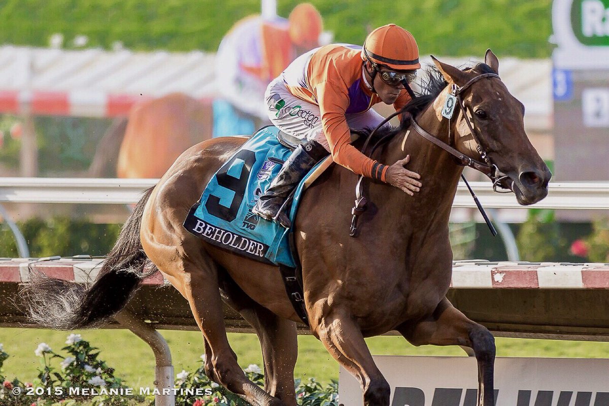 SkimTheRail's tweet photo. A beautiful memory 
I captured 10 yrs ago of Beholder and @GStevens_jockey  
The essence of, “poetry in motion”. It’s probably in my top memories I’ve witnessed, behind my camera in a race between jockey and horse. A moment captured in time 📸2015 Pacific Classic @DelMarRacing https://t.co/Tax0QIyc1h