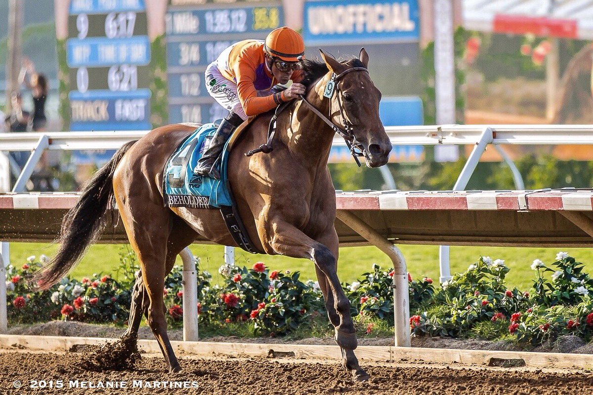 SkimTheRail's tweet photo. A beautiful memory 
I captured 10 yrs ago of Beholder and @GStevens_jockey  
The essence of, “poetry in motion”. It’s probably in my top memories I’ve witnessed, behind my camera in a race between jockey and horse. A moment captured in time 📸2015 Pacific Classic @DelMarRacing https://t.co/Tax0QIyc1h