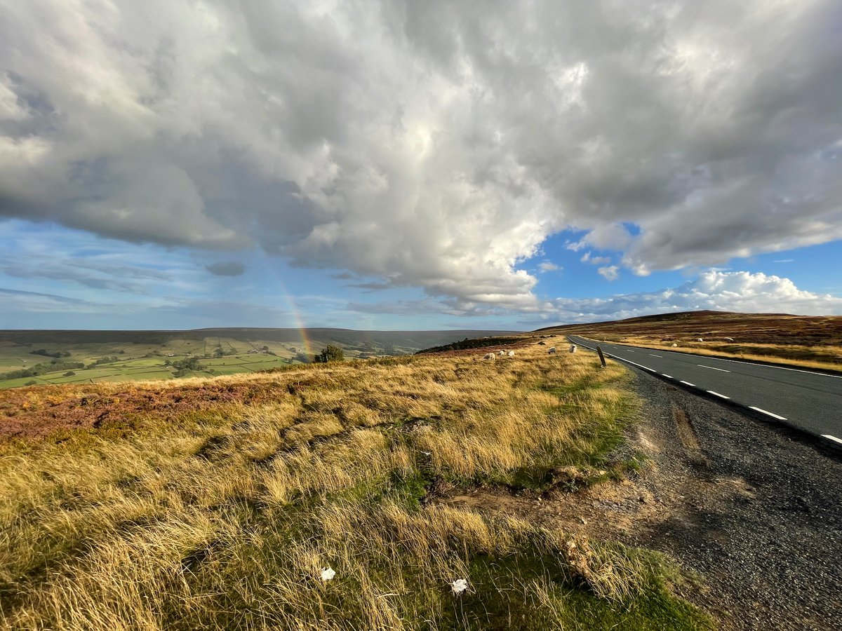 metaᑐᑌᑎᑕ.tez (@metadunc) on Twitter photo 