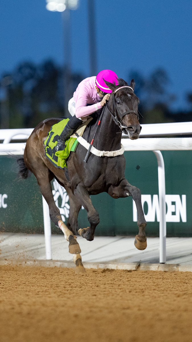 اللهم لك الحمد وماتوفيقي الى بالله 
مساهمة نادي سباقات 🥇🤍
المالك: فهد ضيدان العتيبي🤍🥇
المدرب: <a href="/lashak11/">بدن بن علي السبيعي</a> 🤍🥇
الجواد: يرعبهم🤍🥇