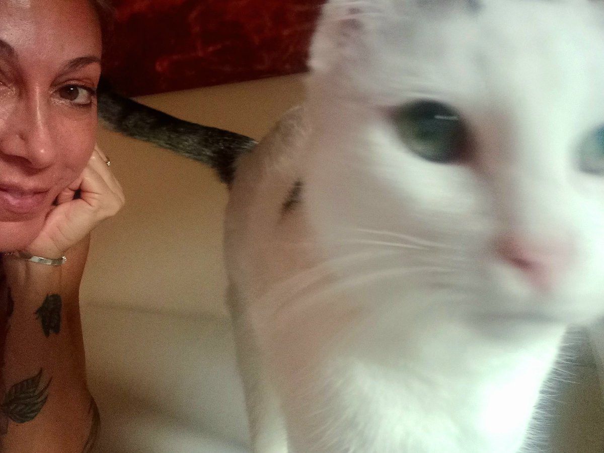 Benvenuto #settembre #astrobau <a href="/Radiobau/">Radiobau</a> ❤️🐶🐇🐈🐾! Quali energie per i 12 segni zodiacali pet e per vivere al meglio il fine estate 2025? Scopritelo su
federicafarini.it/rassegnastampa…