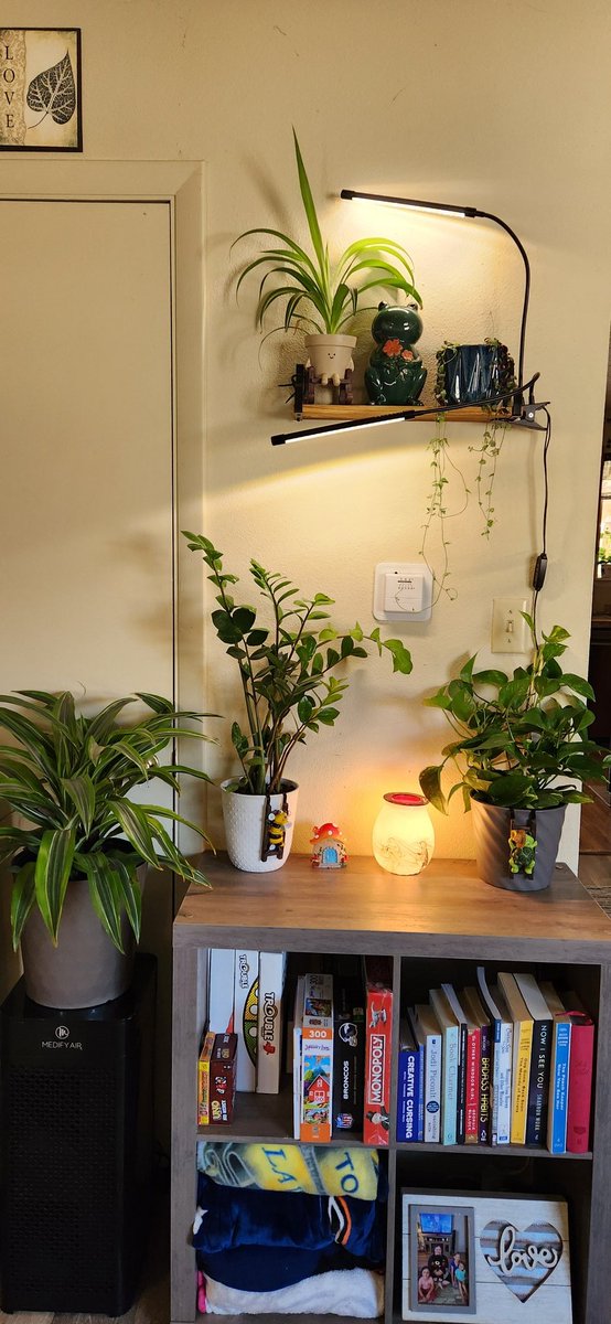 ChristyMomaha's tweet photo. One of my very favorite hobbies besides crocheting gifts for people is PLANTS❣️
I can't believe how much Peace and Joy they bring 🌿🪴🌱
#PlantMom
#PropagatePeace
#PlantLover https://t.co/xhYVSfyQ0l