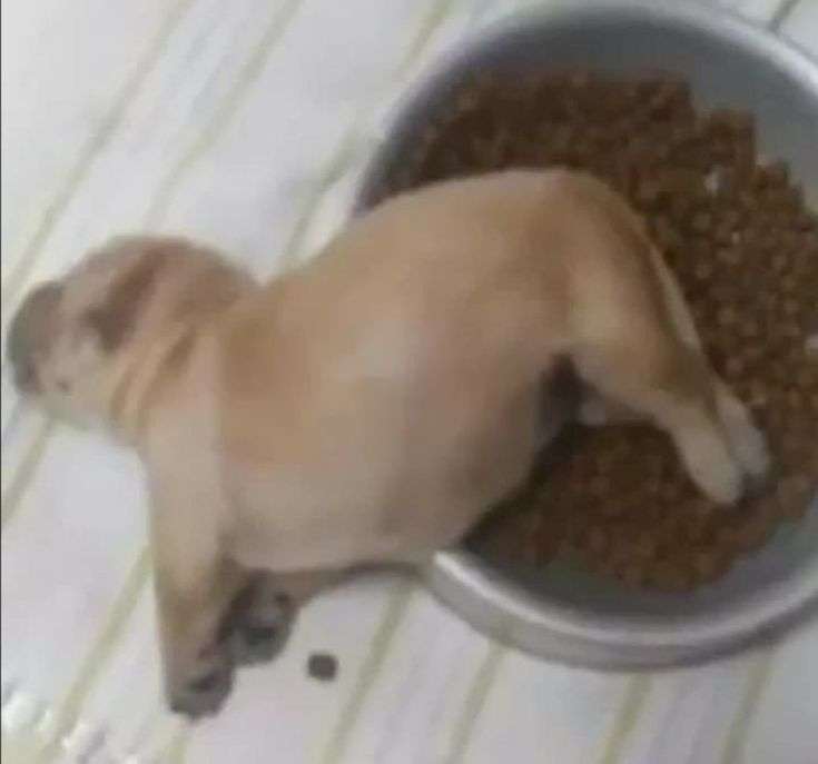 𝗪𝗲𝗮𝘁𝗵𝗲𝗿𝟭𝟰𝟰𝗽☔ 🌧Comms Open🌧 tweet media