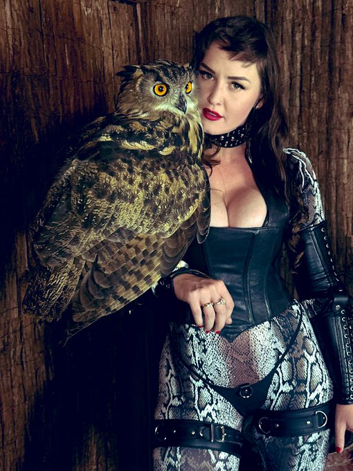 polly_the_