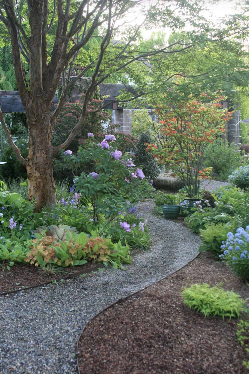 An intriuging #backyard #garden #design with #ideas to help you to #inspire to.

#nature #photography #naturephotography #love #travel #photooftheday  #beautiful
#picoftheday #photo #sun #naturelovers #art #landscape #happy #sunset  #wildlife #summer