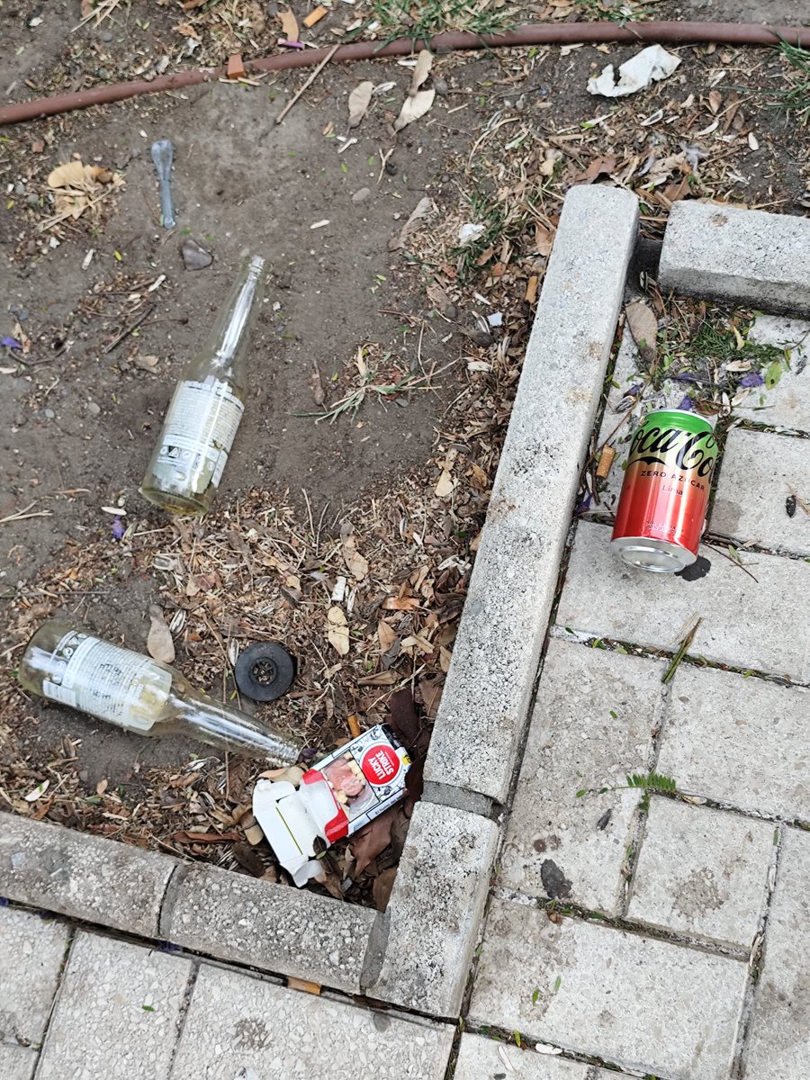 Fco. Javier Morales tweet media