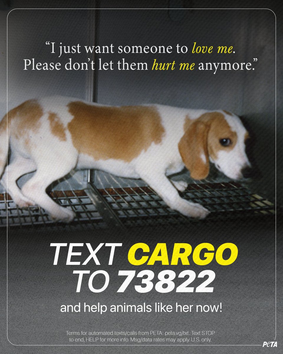 Dogs and other animals in overseas labs aren’t “research tools,” they're living beings 💔
 
The CARGO Act can end U.S. funding for these cruel experiments abroad. Stop scrolling. Text NOW to take action!