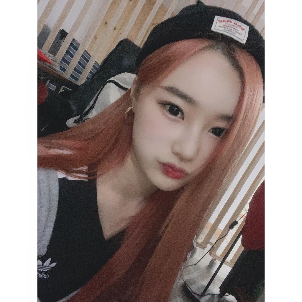 wingsameri's tweet image. 𝐪ue mi carita seria no los engañe, porque únicamente quiero dar las vibes icónicas de mis #𝑣o͞o𝚍ooʼಪ್ರೀ𝚍๐̈ll𝕤 favoritas, quienes obviamente se están luciendo como nunca en su esperado #𝔻𝐂ꕀ病症𝚋ɑc͟k.

𝐫e𝖉 𝐦𝕠o͟n 翼ʼ #𝔄mǝ𝕣𝐢.