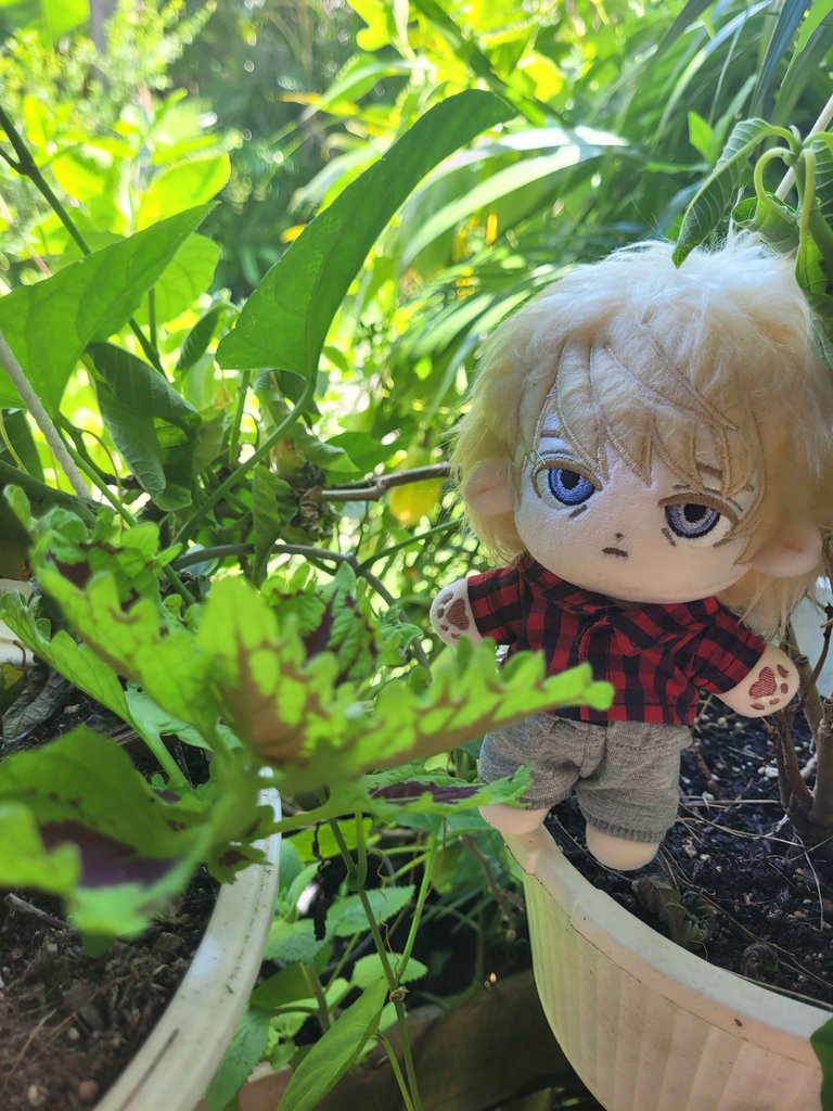 fairybunni's tweet image. Little Law in his habitat 🌱 #lawrenceoleander #plush