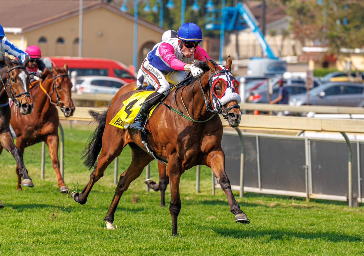 Congratulations to owners Fieldspring Racing and Marsh Shirtliff on their win with Continentalexpress who lead from start to finish to win over the 2400m trip at Hollywoodbets Scottsville.

A great ride by Craig Zackey, well done team!!