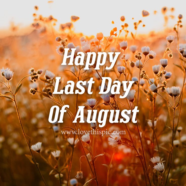 As another month draws to a close, we say goodbye to the last day of August for another year.

#lastdayofaugust