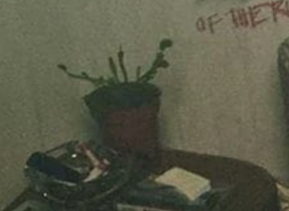 KaiTheFishGuy tweet media