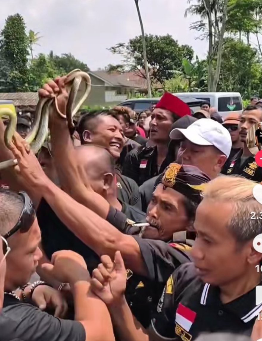 q223sup's tweet photo. @obahnai Obanai nya demo bawa ular disini https://t.co/UB3DA9BvDR